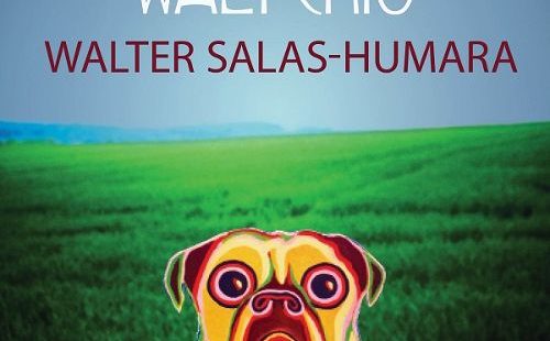Walter Salas-Humara's Walterio Has Winning Songs