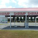 Shrimp Sign